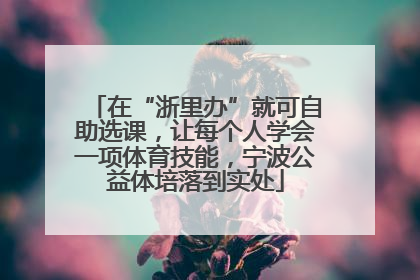 在“浙里办”就可自助选课，让每个人学会一项体育技能，宁波公益体培落到实处