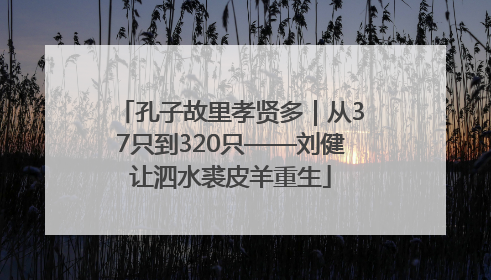 孔子故里孝贤多｜从37只到320只——刘健让泗水裘皮羊重生