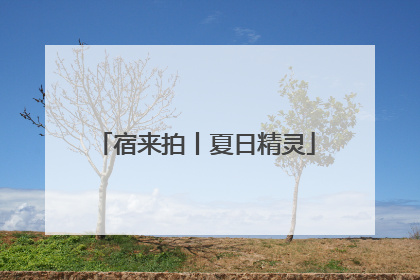 宿来拍丨夏日精灵