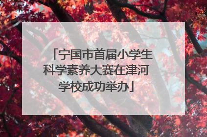 宁国市首届小学生科学素养大赛在津河学校成功举办