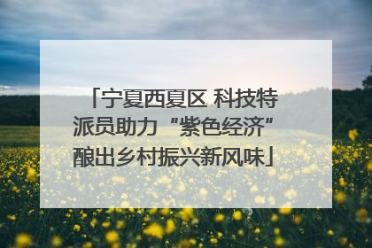 宁夏西夏区 科技特派员助力“紫色经济”酿出乡村振兴新风味