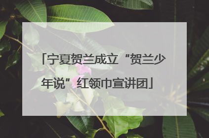 宁夏贺兰成立“贺兰少年说”红领巾宣讲团