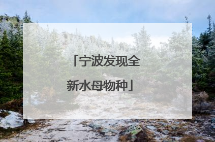 宁波发现全新水母物种