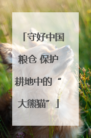 守好中国粮仓 保护耕地中的“大熊猫”