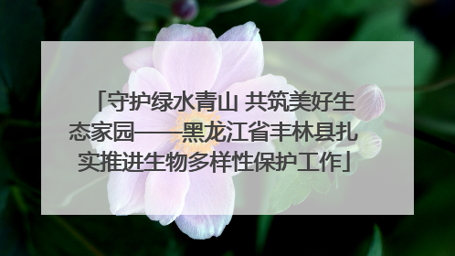 守护绿水青山 共筑美好生态家园——黑龙江省丰林县扎实推进生物多样性保护工作
