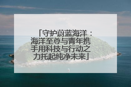 守护蔚蓝海洋：海洋至尊与青年携手用科技与行动之力托起纯净未来
