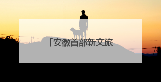 安徽首部新文旅电影《风起秋浦河》在合肥首映