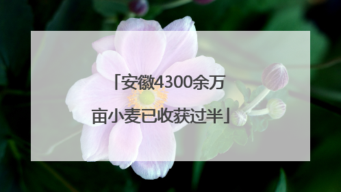 安徽4300余万亩小麦已收获过半