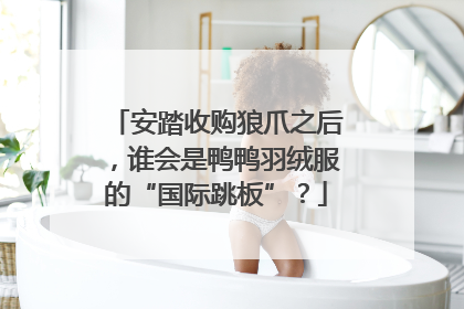 安踏收购狼爪之后，谁会是鸭鸭羽绒服的“国际跳板”？