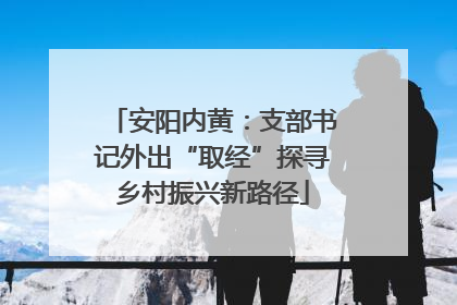 安阳内黄：支部书记外出“取经”探寻乡村振兴新路径