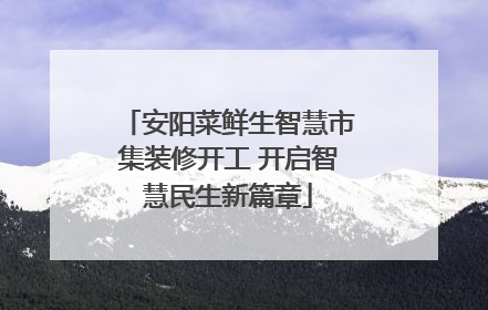 安阳菜鲜生智慧市集装修开工 开启智慧民生新篇章