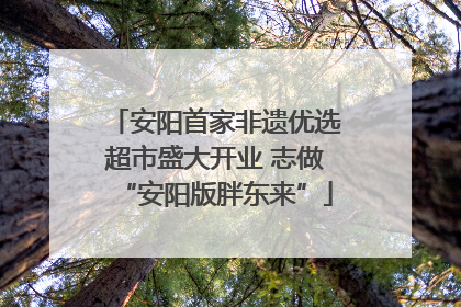 安阳首家非遗优选超市盛大开业 志做“安阳版胖东来”