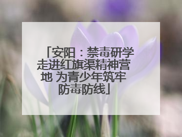 安阳：禁毒研学走进红旗渠精神营地 为青少年筑牢防毒防线