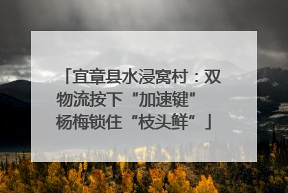 宜章县水浸窝村：双物流按下“加速键” 杨梅锁住“枝头鲜”