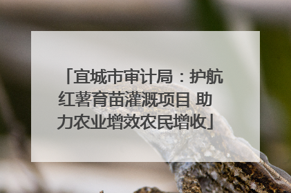 宜城市审计局：护航红薯育苗灌溉项目 助力农业增效农民增收