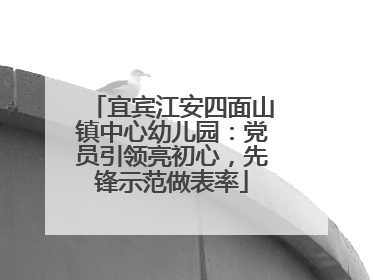 宜宾江安四面山镇中心幼儿园：党员引领亮初心，先锋示范做表率