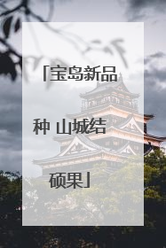 宝岛新品种 山城结硕果