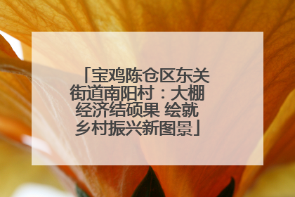 宝鸡陈仓区东关街道南阳村：大棚经济结硕果 绘就乡村振兴新图景