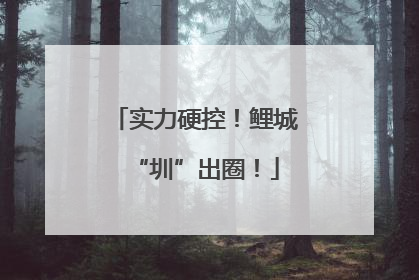 实力硬控！鲤城“圳”出圈！