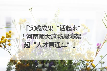 实践成果“活起来”！河南师大这场展演架起“人才直通车”