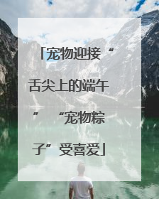 宠物迎接“舌尖上的端午” “宠物粽子”受喜爱