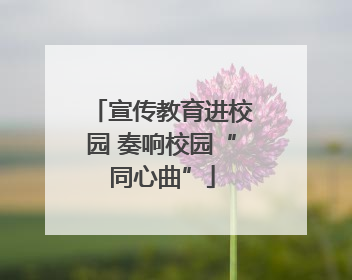 宣传教育进校园 奏响校园“同心曲”