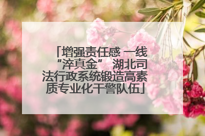 增强责任感 一线“淬真金” 湖北司法行政系统锻造高素质专业化干警队伍