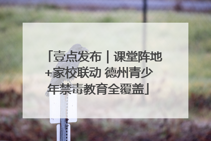 壹点发布｜课堂阵地+家校联动 德州青少年禁毒教育全覆盖
