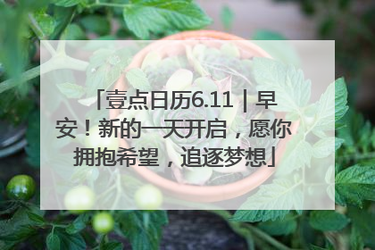 壹点日历6.11｜早安！新的一天开启，愿你拥抱希望，追逐梦想