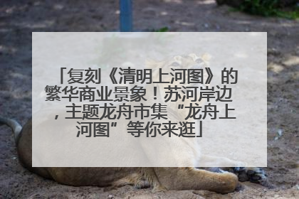 复刻《清明上河图》的繁华商业景象！苏河岸边，主题龙舟市集“龙舟上河图”等你来逛