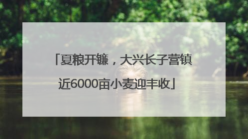 夏粮开镰，大兴长子营镇近6000亩小麦迎丰收