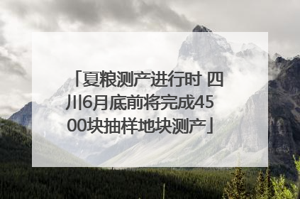 夏粮测产进行时 四川6月底前将完成4500块抽样地块测产