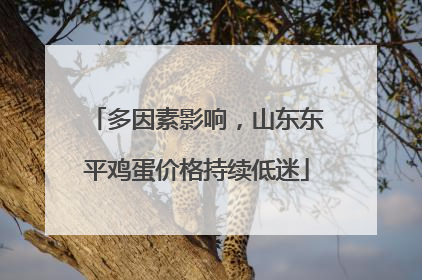 多因素影响，山东东平鸡蛋价格持续低迷