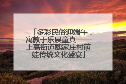 多彩民俗迎端午，寓教于乐展童真——上高街道魏家庄村萌娃传统文化盛宴