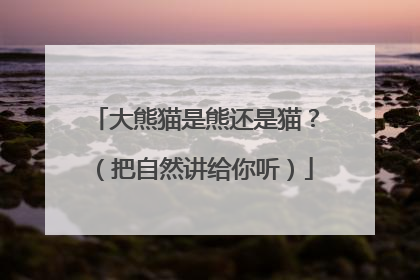 大熊猫是熊还是猫？（把自然讲给你听）