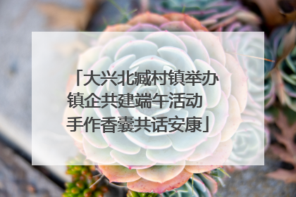 大兴北臧村镇举办镇企共建端午活动 手作香囊共话安康