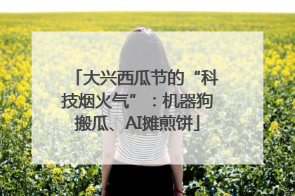 大兴西瓜节的“科技烟火气”：机器狗搬瓜、AI摊煎饼