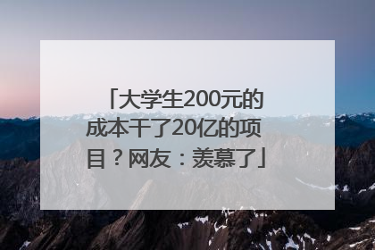 大学生200元的成本干了20亿的项目？网友：羡慕了