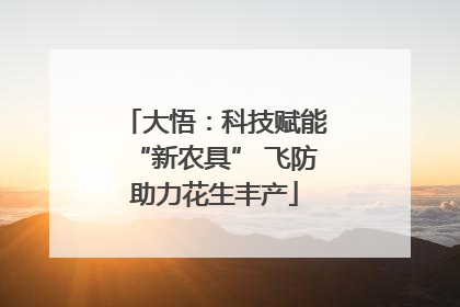 大悟：科技赋能“新农具” 飞防助力花生丰产