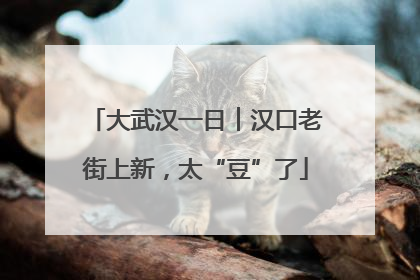 大武汉一日︱汉口老街上新，太“豆”了