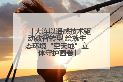 大连以遥感技术驱动数智转型 绘就生态环境“空天地”立体守护画卷