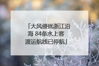 大风侵扰浙江沿海 84条水上客渡运航线已停航