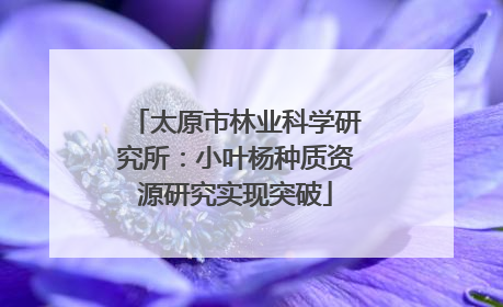 太原市林业科学研究所：小叶杨种质资源研究实现突破