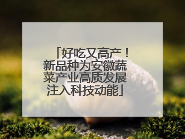 好吃又高产！新品种为安徽蔬菜产业高质发展注入科技动能