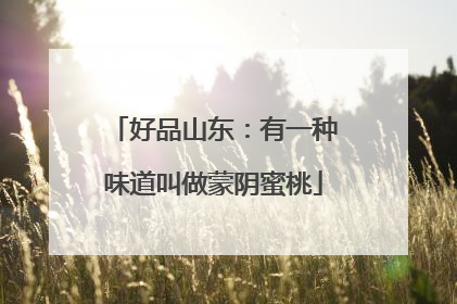 好品山东：有一种味道叫做蒙阴蜜桃