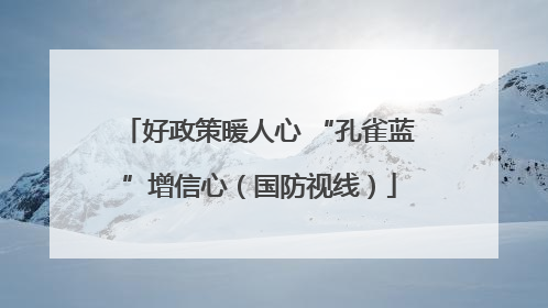 好政策暖人心 “孔雀蓝”增信心（国防视线）