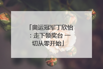 奥运冠军丁欣怡：走下领奖台 一切从零开始