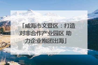 威海市文登区：打造对非合作产业园区 助力企业抱团出海