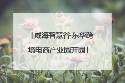 威海智慧谷·东华跨境电商产业园开园