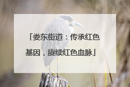 娄东街道：传承红色基因，赓续红色血脉